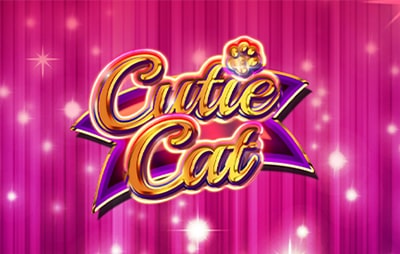 Cutie Cat